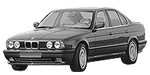 BMW E34 P109D Fault Code